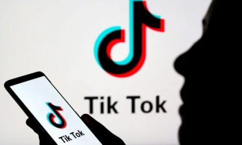 Excellent TikTok Ideas on How To Grow your Business